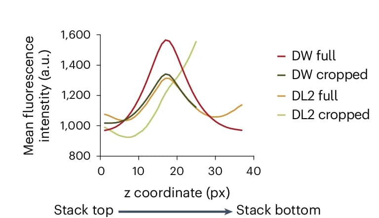 Open access visualization of Line Plot, Fluorescence Intensity, Z-Axis, Deconvolution, Deconwolf