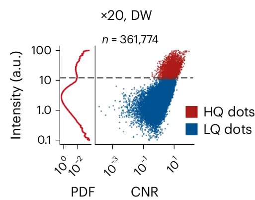 Open access visualization of Scatter Plot, Density Plot, Probability Density Function, smFISH, Fluorescence Intensity