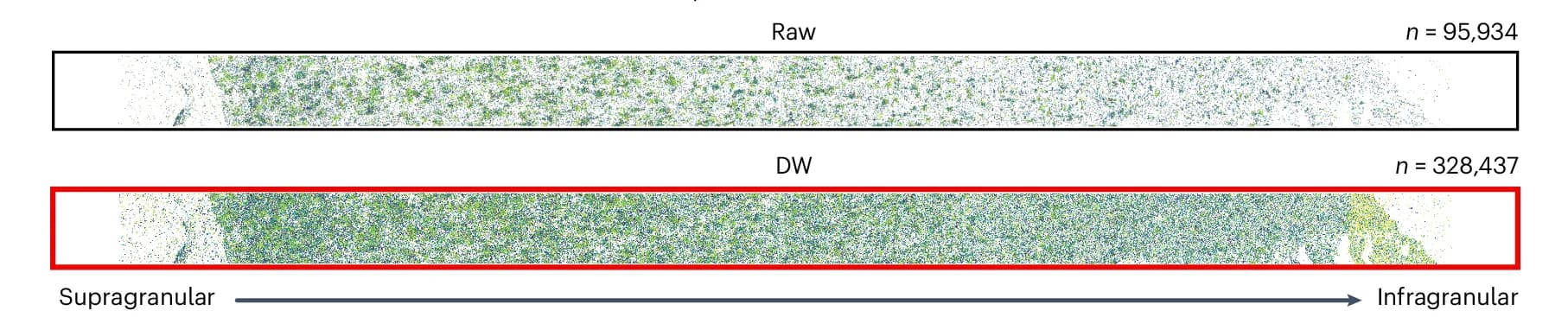 Open access visualization of Scatter Plot, Spatial Distribution, ISST Dots, Transcript, Deconvolution