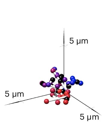 Open access visualization of 3D Plot, Chromatin Path, Rendering
