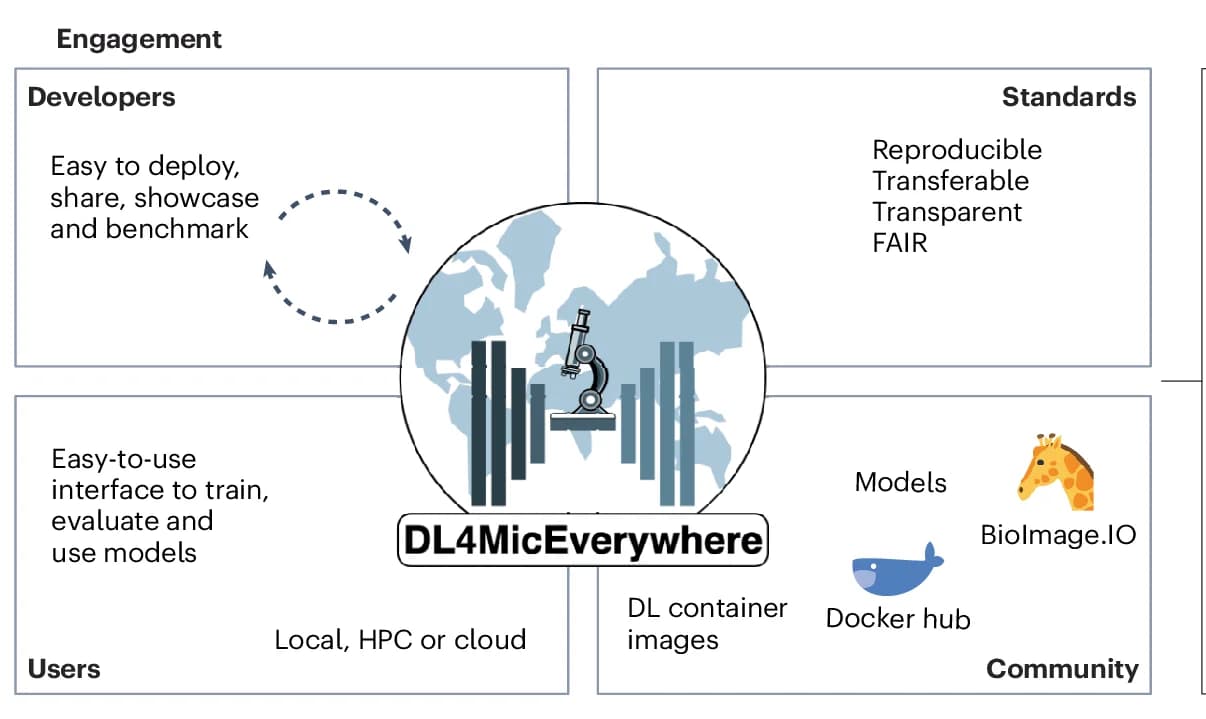 Open access visualization of Workflow, Illustration, Deep Learning, Workflow Sharing, Bioimage Analysis