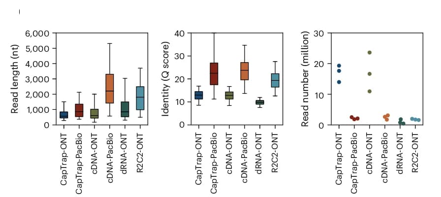 Open access visualization of Box Plot, Scatter Plot, Read Lengths, Q Score, Sequencing Depth