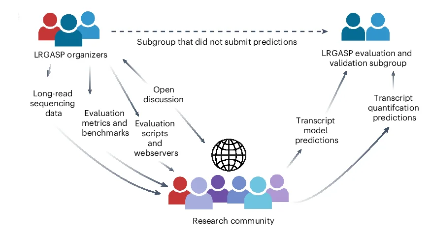 Open access visualization of Workflow, Flowchart, LRGASP, Collaboration, Design