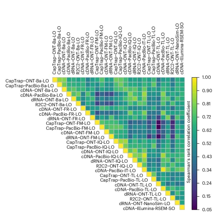 Open access visualization of Heatmap, Spearman Correlation, TPM Values, Submissions, Challenge 2