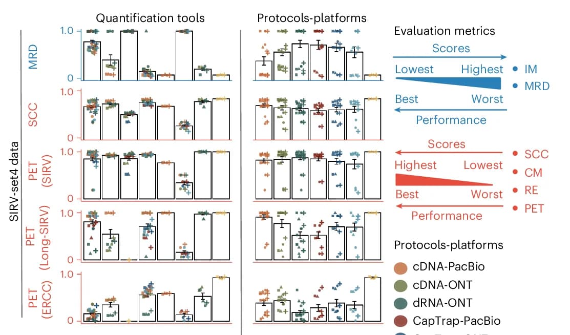 Open access visualization of Bar Plot, Error Bars, Scatter Plot, Quantification Tools, Protocols Platforms