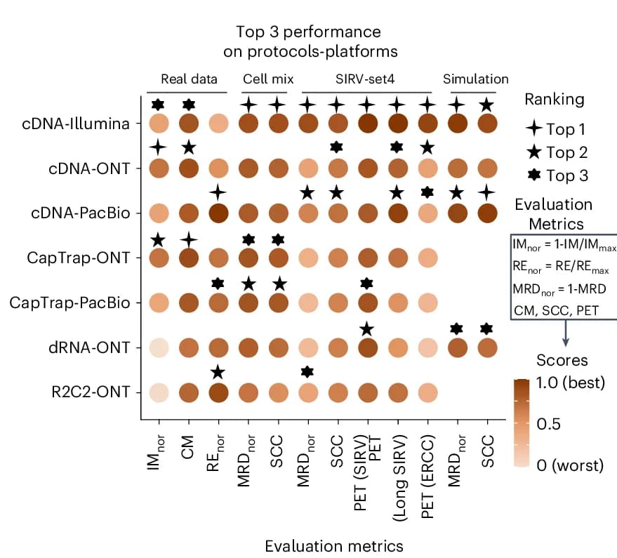 Open access visualization of Scatter Plot, Heatmap, Quantification Tools, Protocols Platforms, Evaluation Metrics