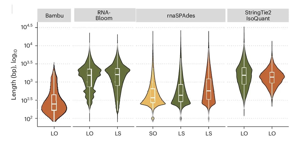 Open access visualization of Violin Plot, Box Plot, Length Distribution, Manatee, Transcripts
