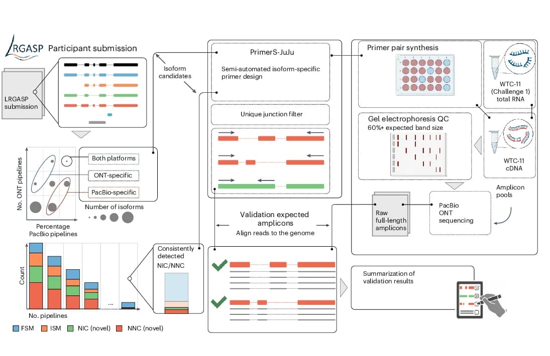 Open access visualization of Workflow, Scatter Plot, Bubble Plot, Bar Plot, Stacked Bar Plot