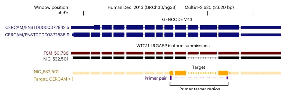 Open access visualization of Workflow, Illustration, NIC Isoform, PCR, Exon Skipping
