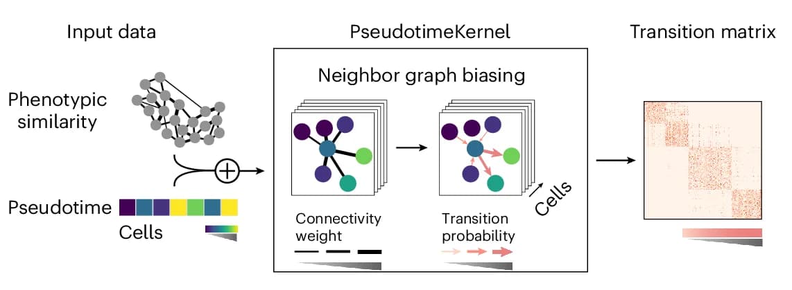 Open access visualization of Workflow, Network, Heatmap, PseudotimeKernel, Phenotypic Similarity