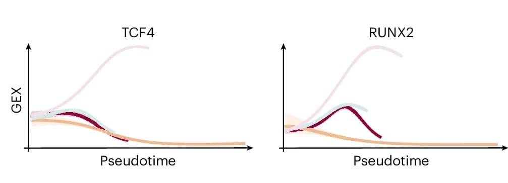 Open access visualization of Line Plot, Density Plot, Fate Probabilities, Gene Expression, Lineage Drivers