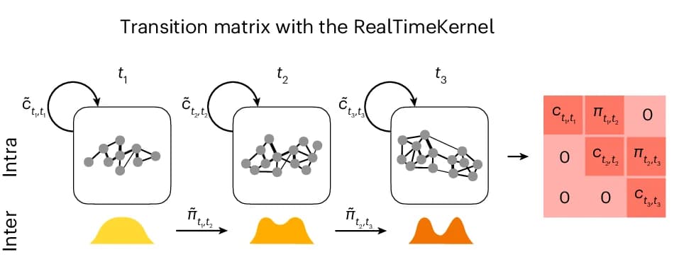 Open access visualization of Workflow, RealTimeKernel, Time-Point Transitions, Gene Expression, Transition Matrix