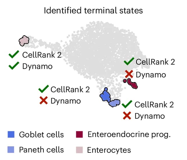 Open access visualization of Scatter Plot, UMAP, PCA, UMAP Embedding, Terminal States
