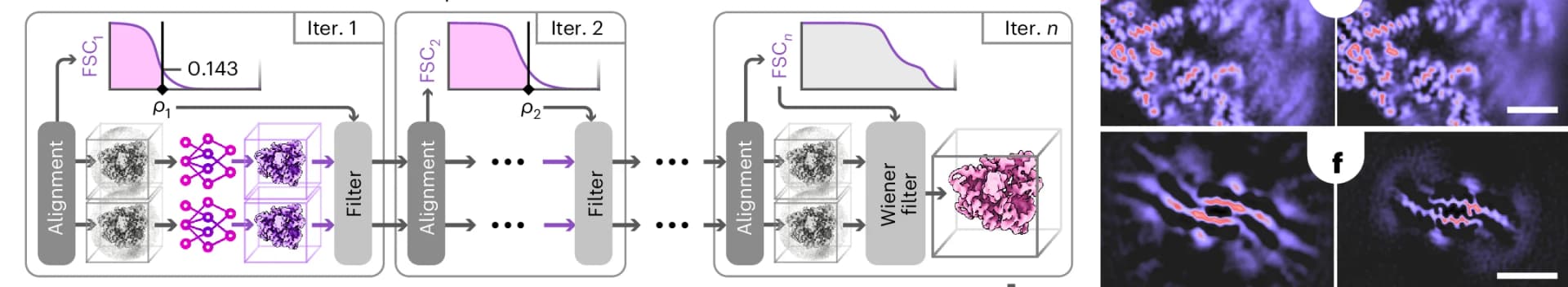 Open access visualization of Workflow, Illustration, Line Plot, Microscopy, Iterative Reconstruction