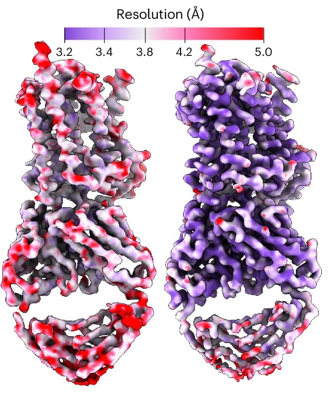 Open access visualization of Protein Structure, Local Resolution, Baseline Reconstruction, Blush Regularization