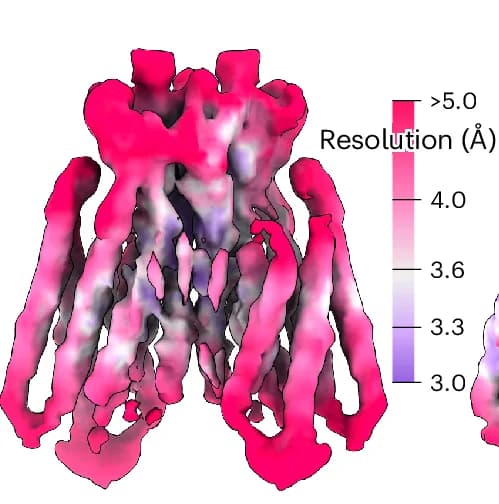 Open access visualization of Protein Structure, Reconstruction, Cryo-EM, Local Resolution, Ste2 Dataset