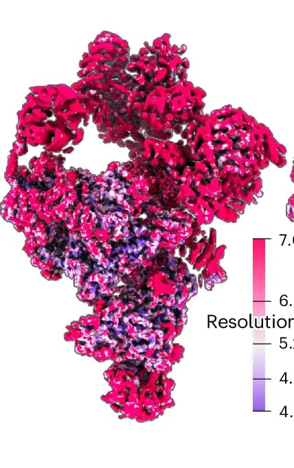 Open access visualization of Protein Structure, Local Resolution, Baseline Reconstruction