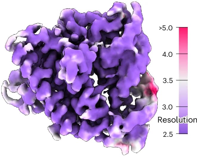 Open access visualization of Protein Structure, Reconstruction, Blush Regularization, Local Resolution