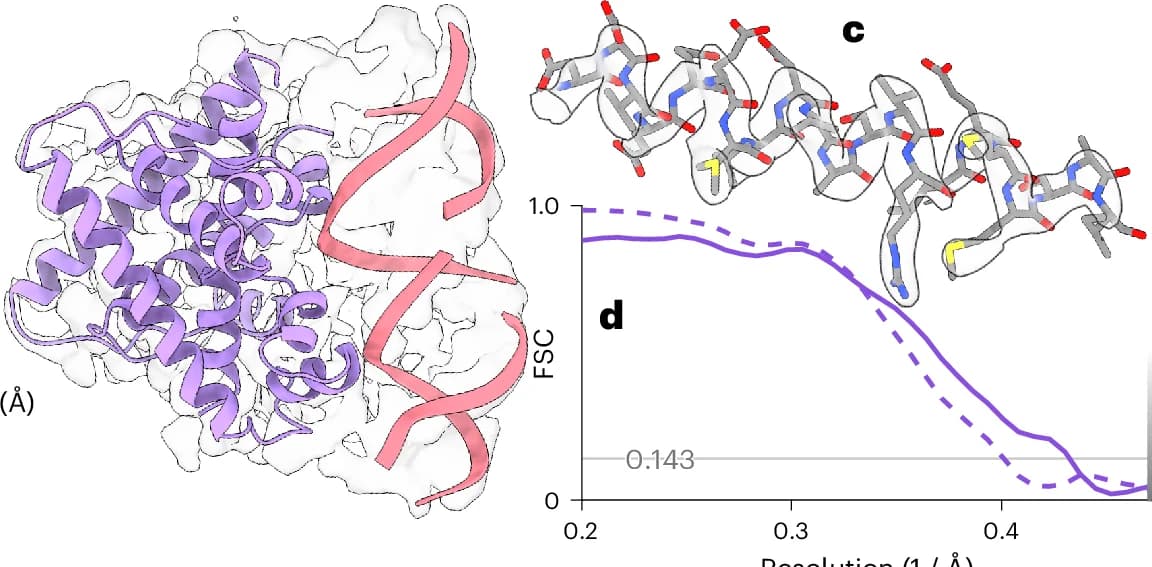 Open access visualization of Protein Structure, Chemical Structure, Line Plot, Atomic Model, ModelAngelo