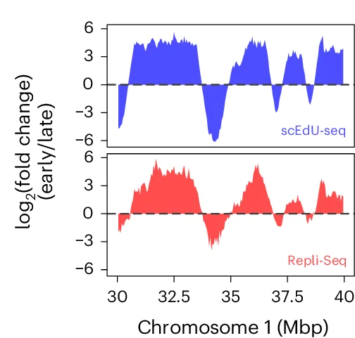 Open access visualization of Line Plot, Density Plot, Genome-Coverage Tracks, S-Phase Samples, scEdU-seq