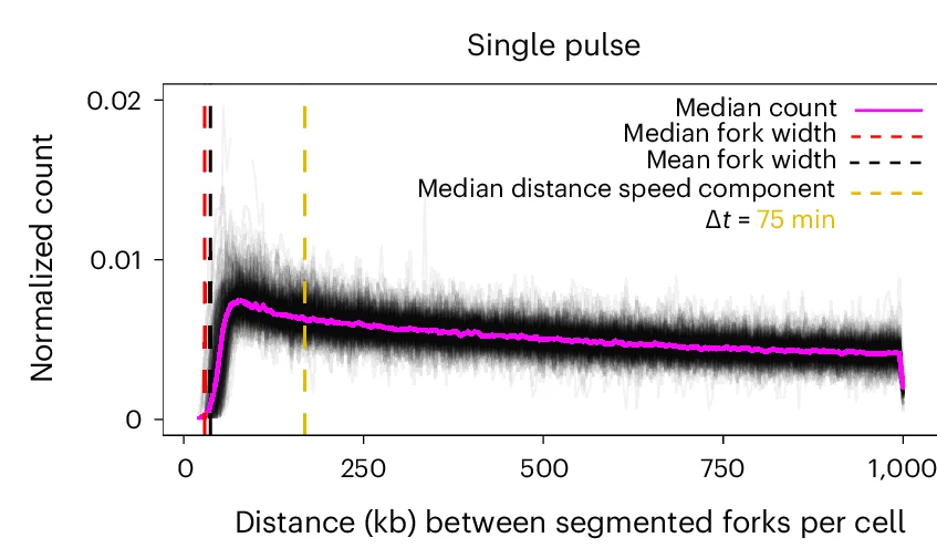 Open access visualization of Line Plot, Density Plot, Normalized Count, Pairwise Distances, HMM-Segmented Pulses