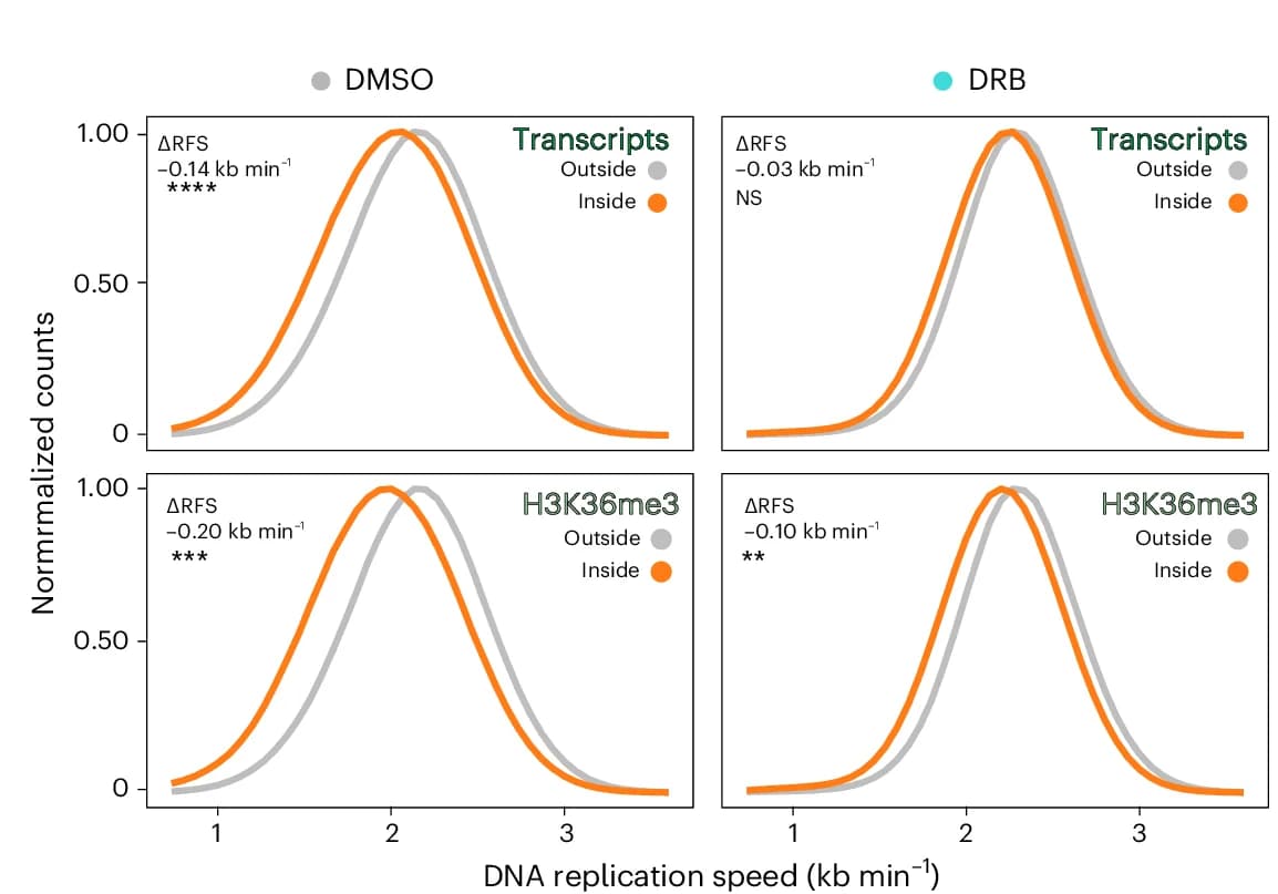 Open access visualization of Line Plot, Density Plot, Speeds, DMSO, DRB