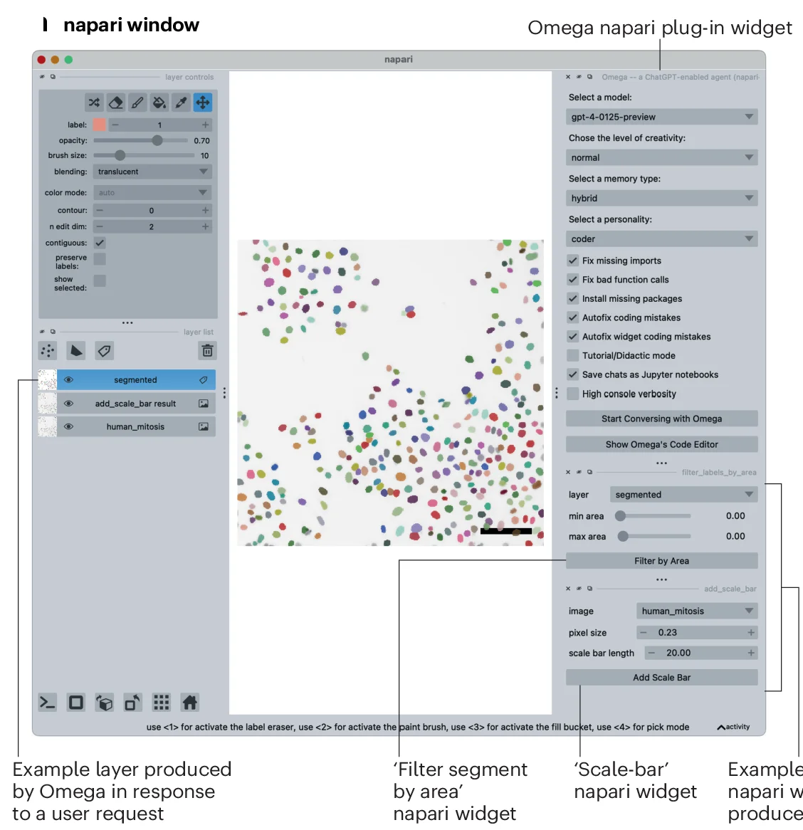 Open access visualization of Microscopy, Images, Layers, Labels, Points