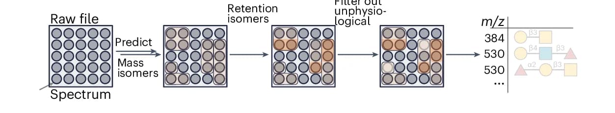 Open access visualization of Workflow, Illustration, Glycan Predictions, Raw File, Output Table