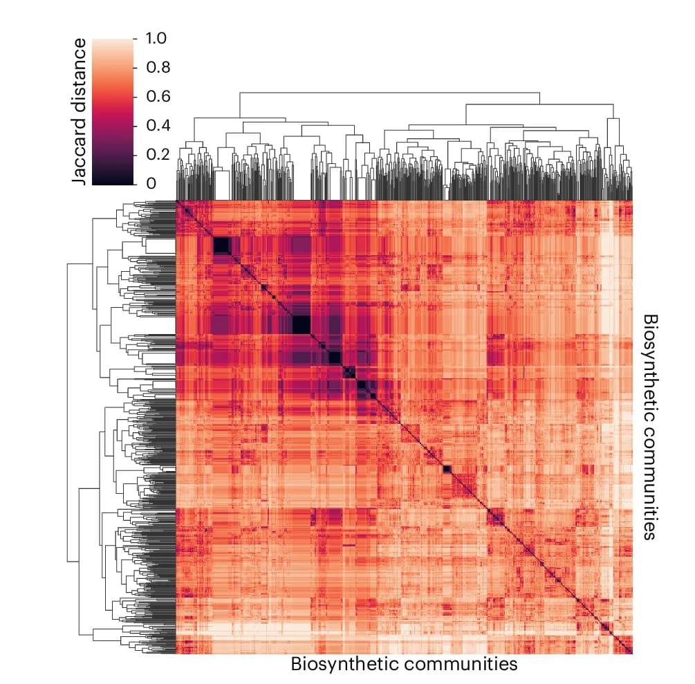 Open access visualization of Heatmap, Clustered, O-Glycan Networks, Biosynthetic Communities, Core Structures
