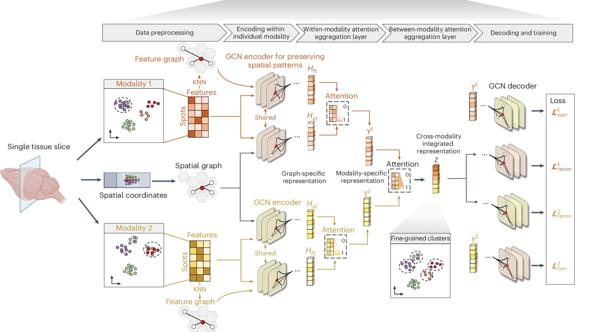 Open access visualization of Workflow, Flowchart, Network, Scatter Plot, SpatialGlue
