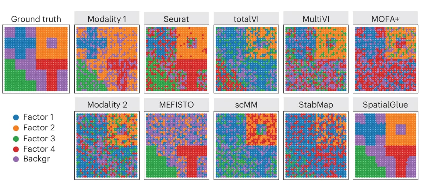 Open access visualization of Scatter Plot, Spatial Plots, Simulated Data, Ground Truth, Raw Data
