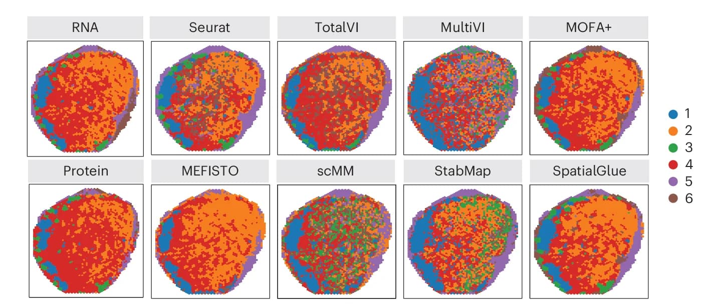 Open access visualization of Scatter Plot, UMAP, Spatial Plots, Lymph Node, Sample