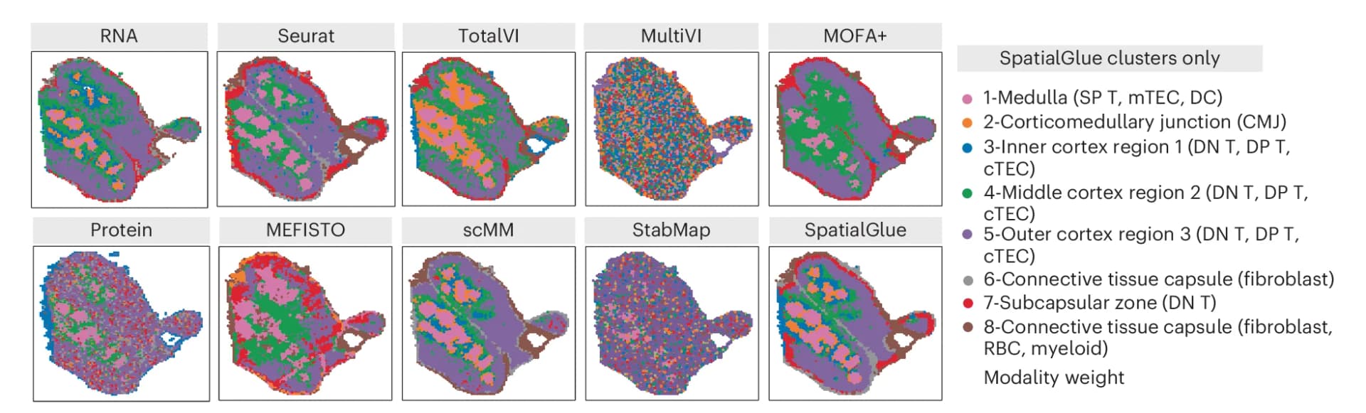 Open access visualization of Scatter Plot, UMAP, PCA, Spatial Plots, RNA Data