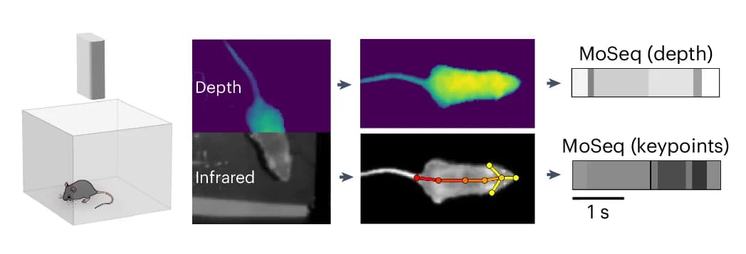 Open access visualization of Workflow, Illustration, Depth Data, Infrared Recording, Pose Representations