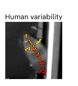 Open access visualization of Microscopy, Scatter Plot, Keypoint Positions, Human Labelers, Variability