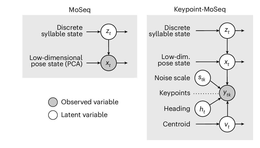Open access visualization of Network, Pathway, Graphical Models, MoSeq, Keypoint-MoSeq