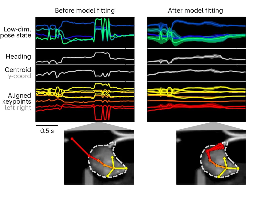 Open access visualization of Line Plot, Photo, Microscopy, Error Correction, Keypoint-MoSeq