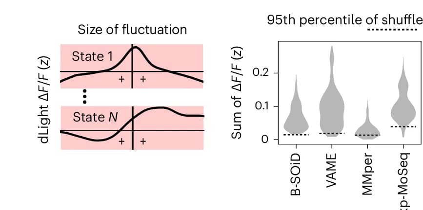 Open access visualization of Violin Plot, Line Plot, Dopamine Fluctuations, Box Plots, State Onset