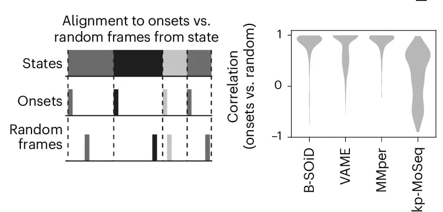 Open access visualization of Violin Plot, Bar Plot, Temporal Randomization, Keypoint-MoSeq, Neurobehavioral Correlations
