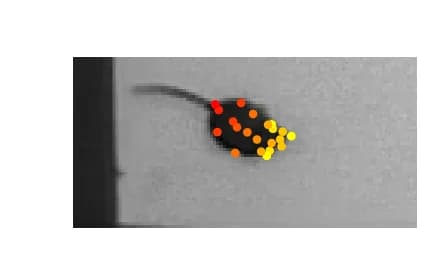 Open access visualization of Photo, Scatter Plot, Open Field, Benchmark Dataset