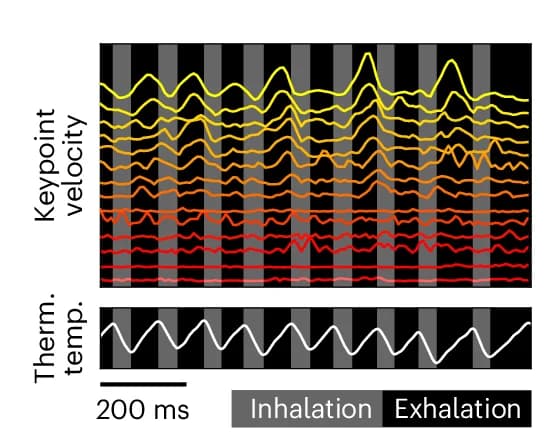 Open access visualization of Line Plot, 3D Keypoint Velocities, Thermistor Signal, Time Interval