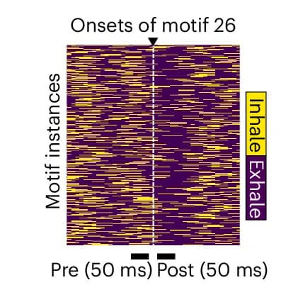 Open access visualization of Heatmap, Motif, Inhale-to-Exhale Transition, Heat Map, Respiration States