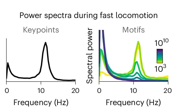 Open access visualization of Line Plot, Density Plot, Power Spectral Density, Keypoints, Motif Labels