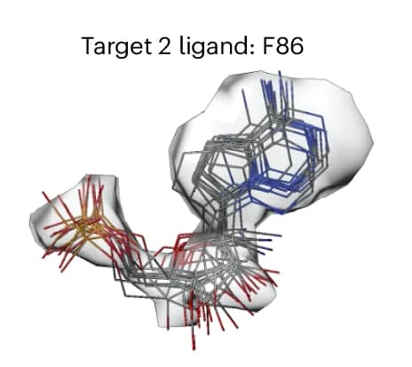 Open access visualization of Chemical Structure, Segmented Density, Target Ligand, Ligand Model, Target 2
