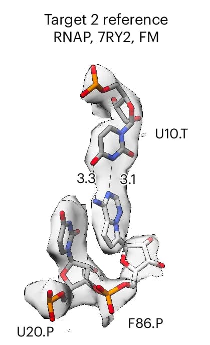 Open access visualization of Protein Structure, Chemical Structure, Reference Models, Target 2