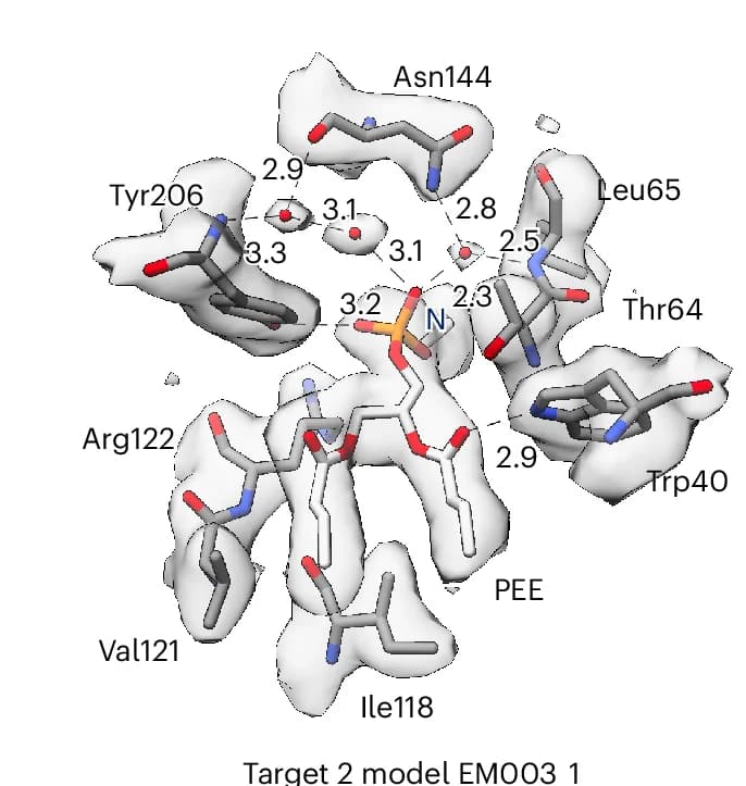 Open access visualization of Protein Structure, Submitted Models, Target 3