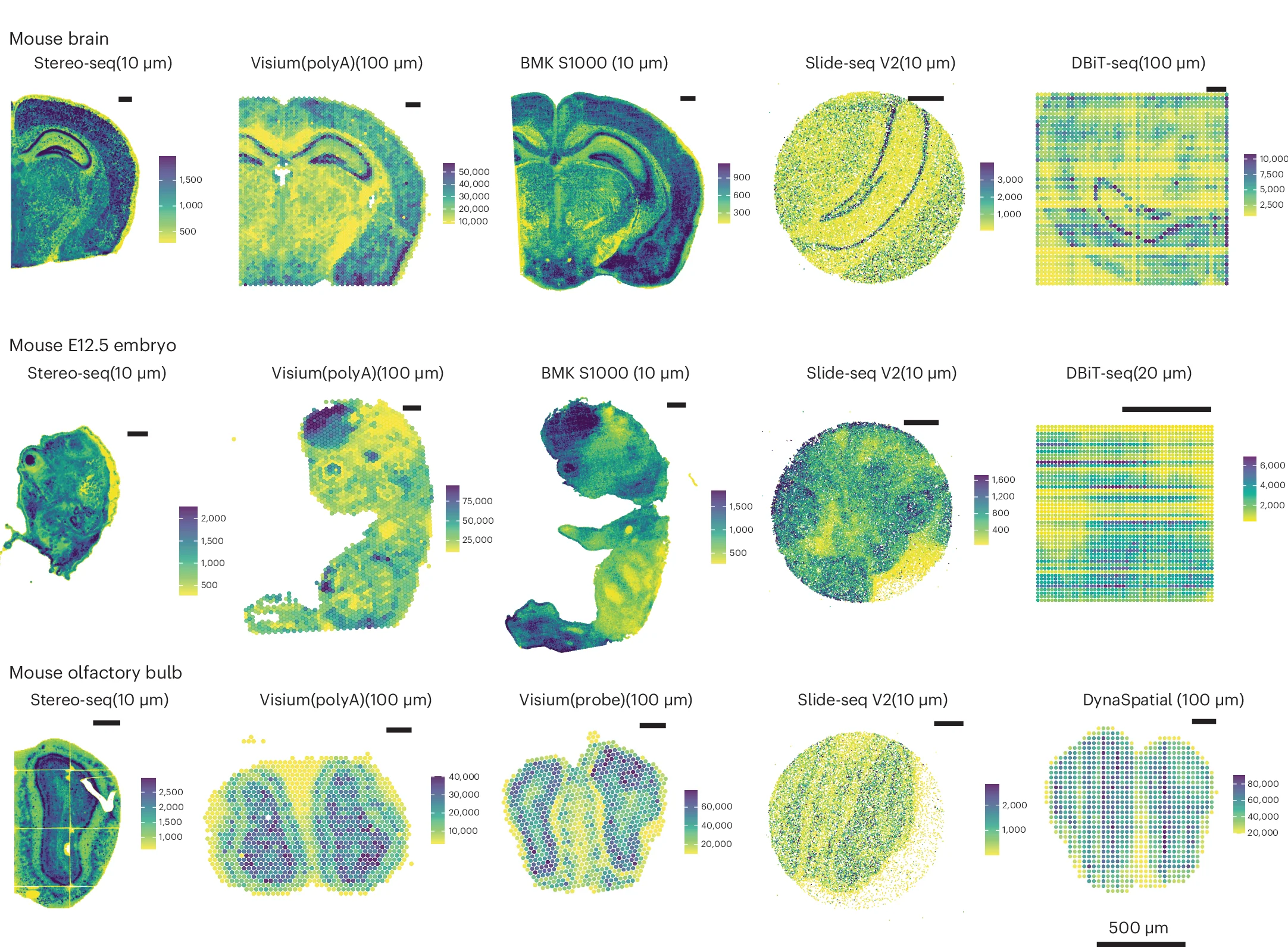 Open access visualization of Heatmap, Total Counts, Spatial Dimension, Datasets, Reference Tissues