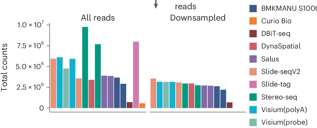 Open access visualization of Bar Plot, Clustered, UMI Counts, Mouse Hippocampus, Downsampled Data