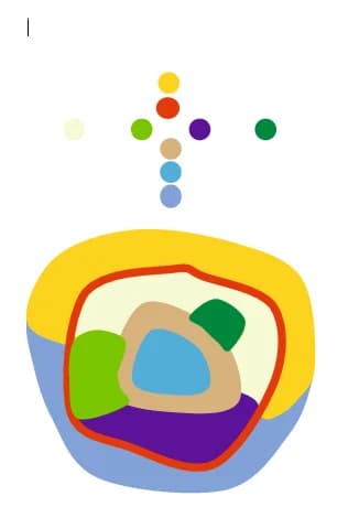 Open access visualization of Illustration, Expression Profiles, Clustering Results, Cell Types, Cell States