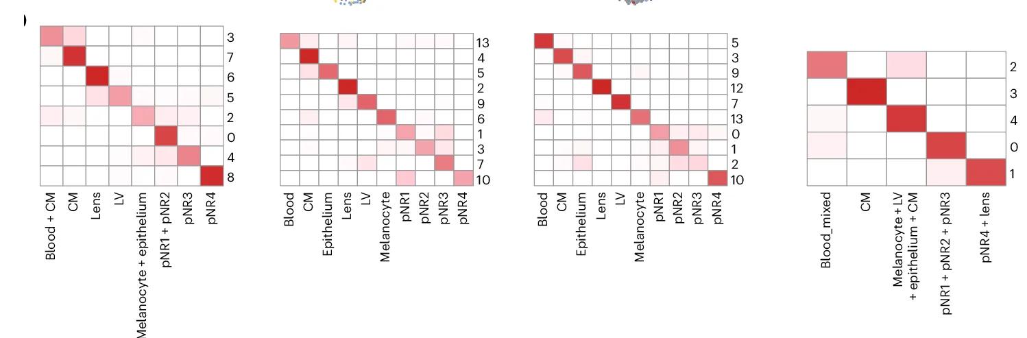 Open access visualization of Heatmap, Clustering, Eye Data, Read Count, Downsampled Data